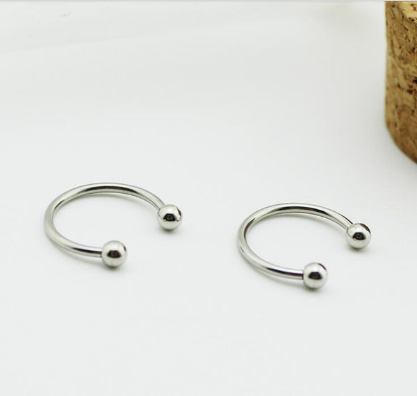 Titanium Earrings AD12112